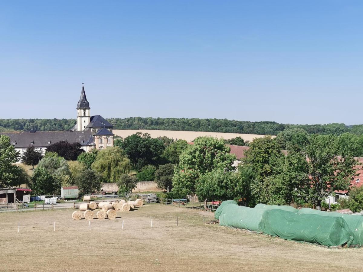 Ferienwohnung Alpakahof Goslar Esterno foto